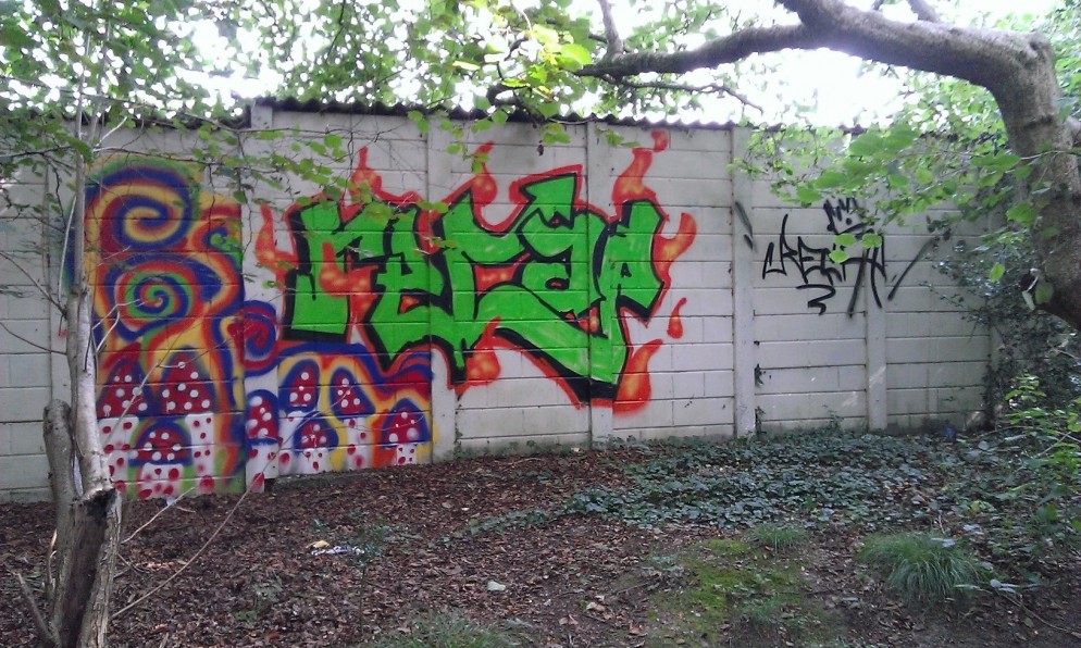 mitchell ave 1